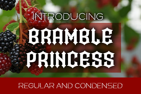 Bramble Princess Font for Bold Web Design