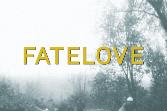 Fatelove: A Bold Sans Serif Font for Modern Web Design