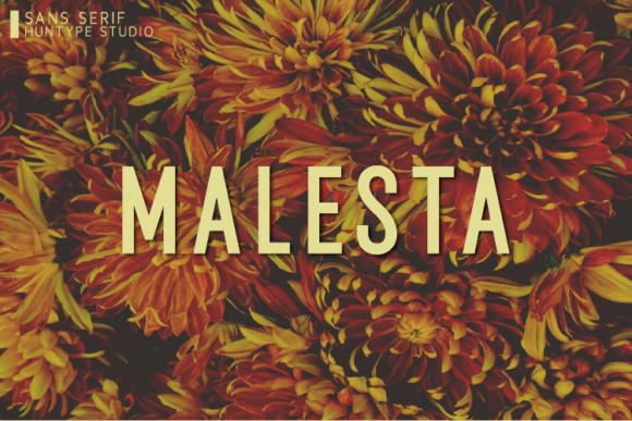 Malesta: A Futuristic Sans Serif Font for Modern Brands